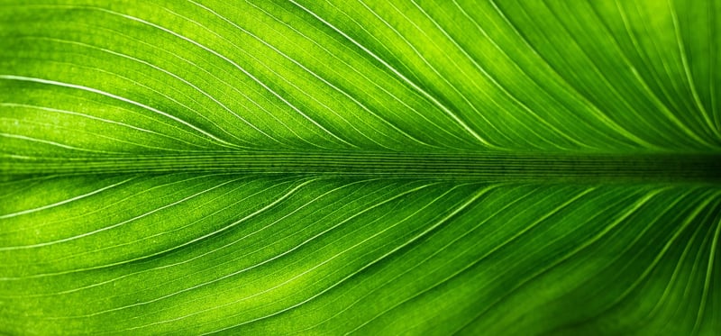 Eco-Friendly Play Ideas